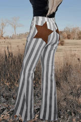 Stripe Star Embellished Western Flare Jeans LC7872994-19