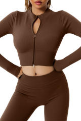 Brown Full Zipper Ribbed Seamless Long Sleeve Yoga Top LC264373-17