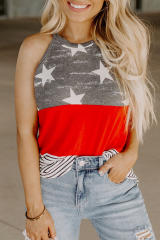 Multicolor American Flag Color Block Sleeveless Top LC2568675-22