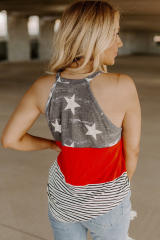 Multicolor American Flag Color Block Sleeveless Top LC2568675-22
