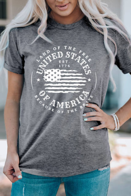 Gray United States Of America Flag Graphic Print Short Sleeve T Shirt LC25221389-11