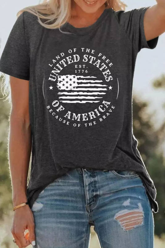 Gray United States Of America Flag Graphic Print Short Sleeve T Shirt LC25221389-11