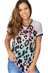Multi Colored Leopard Top LC253546-22