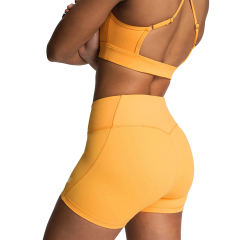 Orange Back Criss Yoga Bra with Shorts Set TQL710038-14