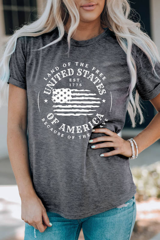 Gray United States Of America Flag Graphic Print Short Sleeve T Shirt LC25221389-11