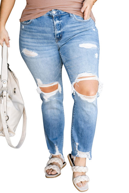 Sky Blue Distressed Holes Frayed Hem Plus Size Jeans PL787003-4