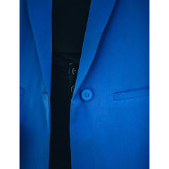 Blue Candy Button Lapel Collar Long Sleeve Blazer TQK260052-5