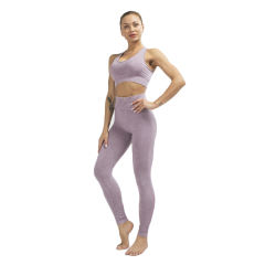 Light Purple Nylon Bra with Pant Set TQK710269-38