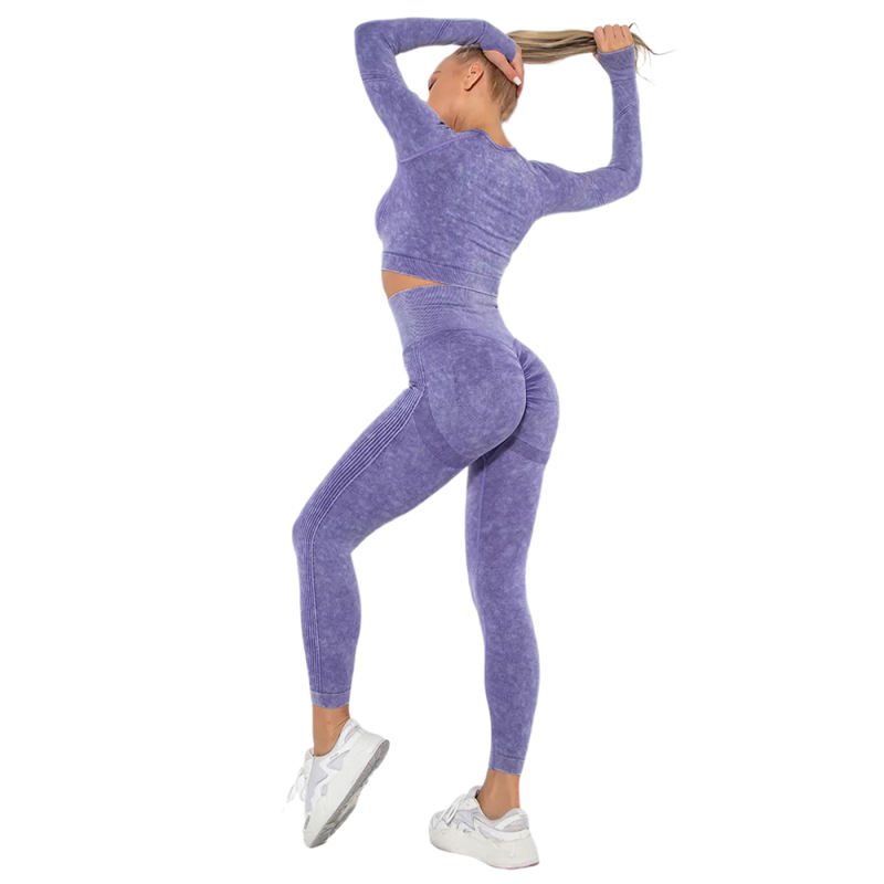 Purple Nylon Seamless Long Sleeve Pant Yoga Set TQE91361-8