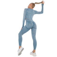 Blue Nylon Seamless Long Sleeve Pant Yoga Set TQE91361-5
