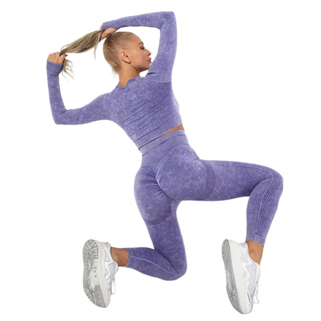 Purple Nylon Seamless Long Sleeve Pant Yoga Set TQE91361-8