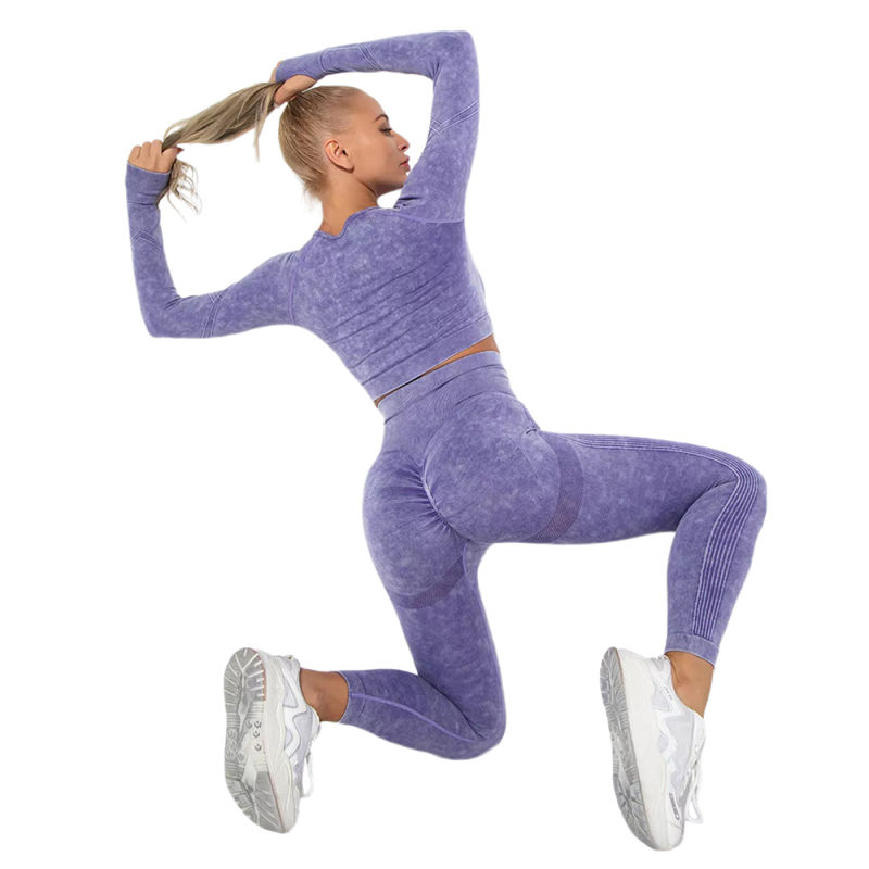 Purple Nylon Seamless Long Sleeve Pant Yoga Set TQE91361-8