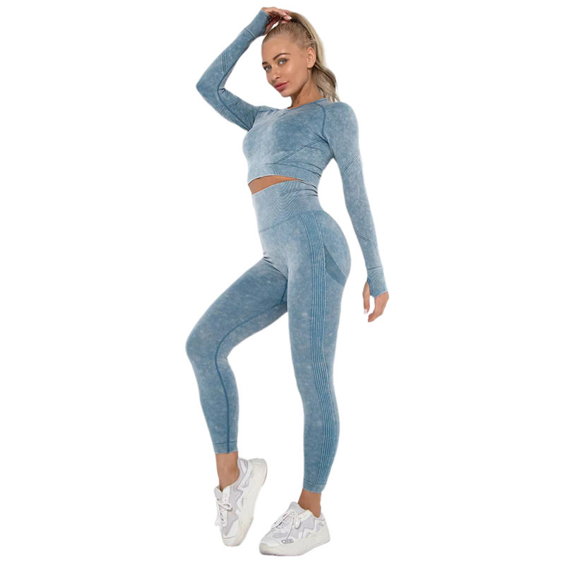Blue Nylon Seamless Long Sleeve Pant Yoga Set TQE91361-5