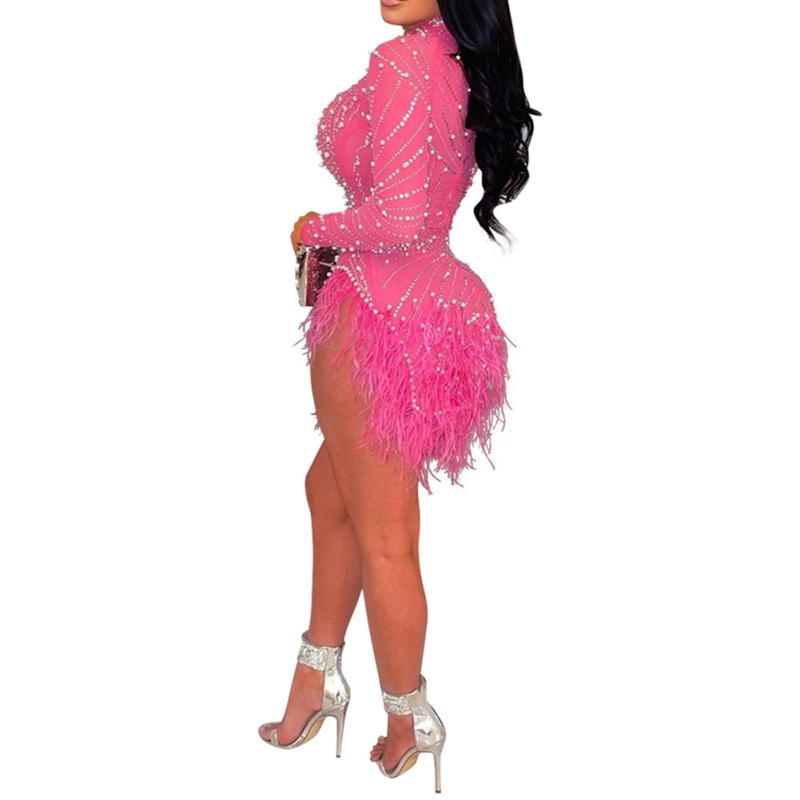 Rosy Rhinestone Beaded Feathers Hem Sheer Mesh Bodycon Dress TQK311310-6