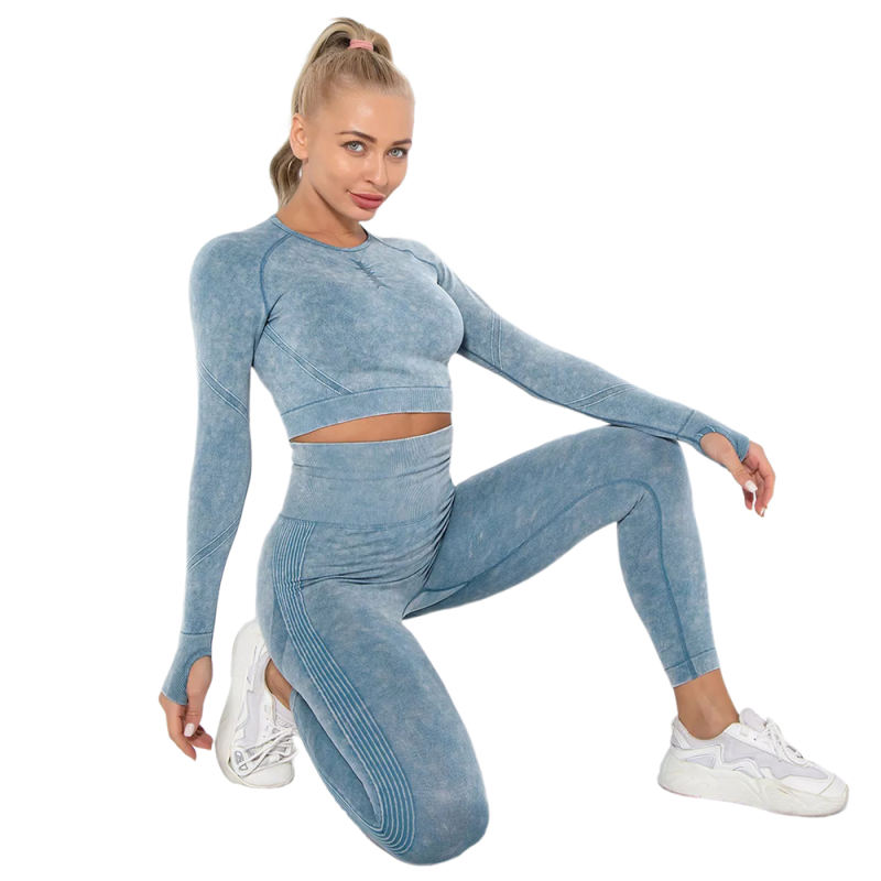 Blue Nylon Seamless Long Sleeve Pant Yoga Set TQE91361-5