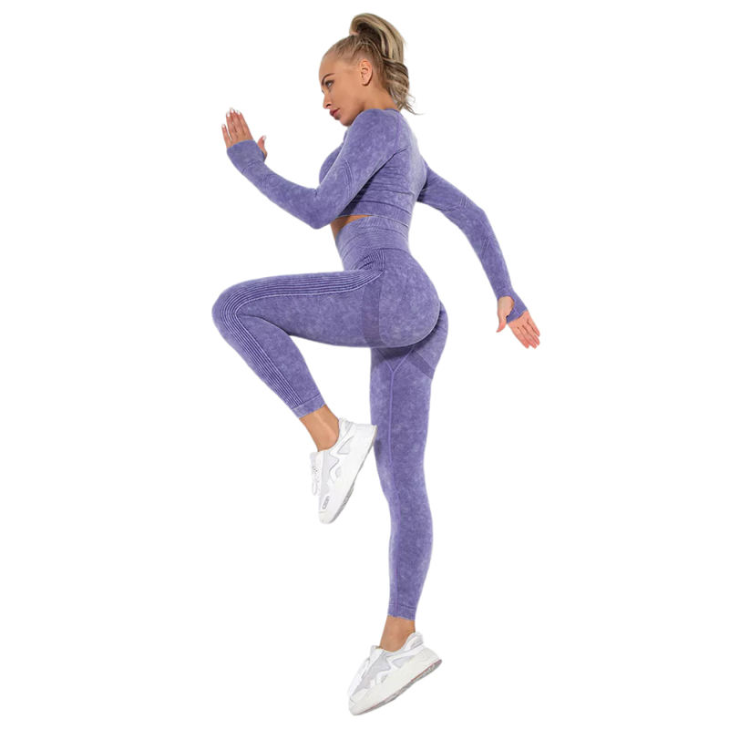 Purple Nylon Seamless Long Sleeve Pant Yoga Set TQE91361-8
