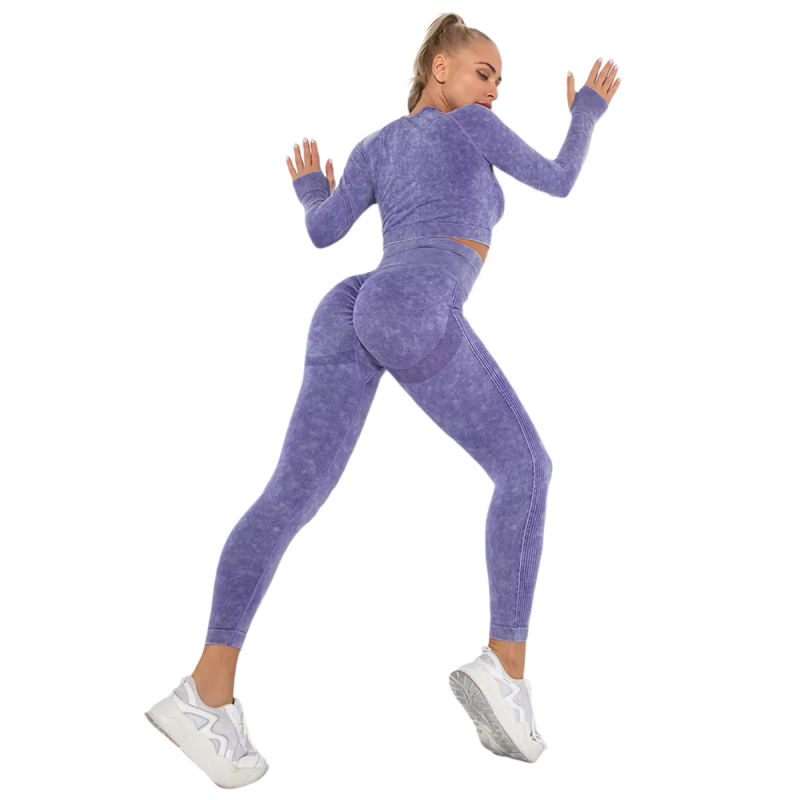 Purple Nylon Seamless Long Sleeve Pant Yoga Set TQE91361-8