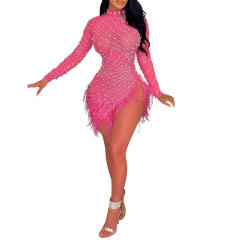 Rosy Rhinestone Beaded Feathers Hem Sheer Mesh Bodycon Dress TQK311310-6