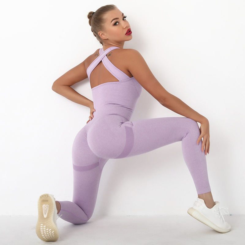 Light Purple Back-Criss Seamless Yoga One Piece Jumpsuit TQE91567-38