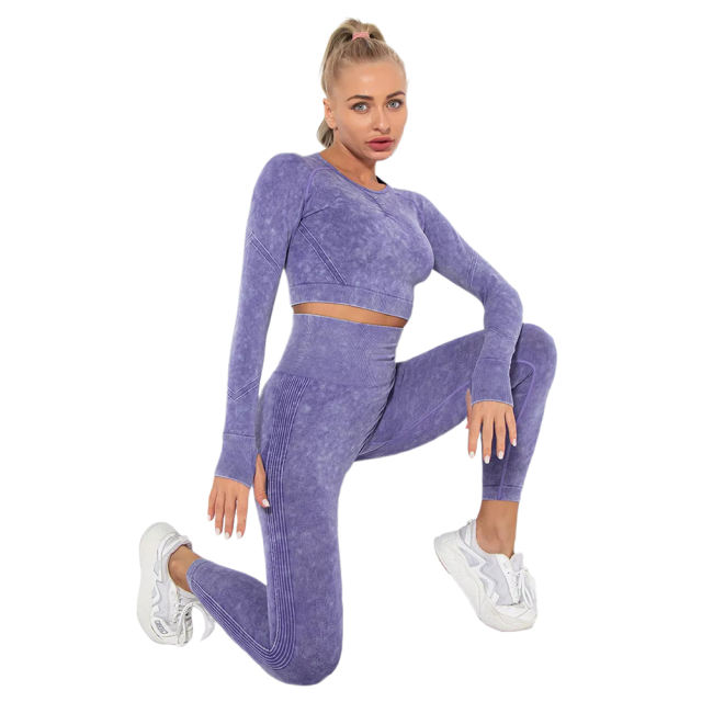 Purple Nylon Seamless Long Sleeve Pant Yoga Set TQE91361-8