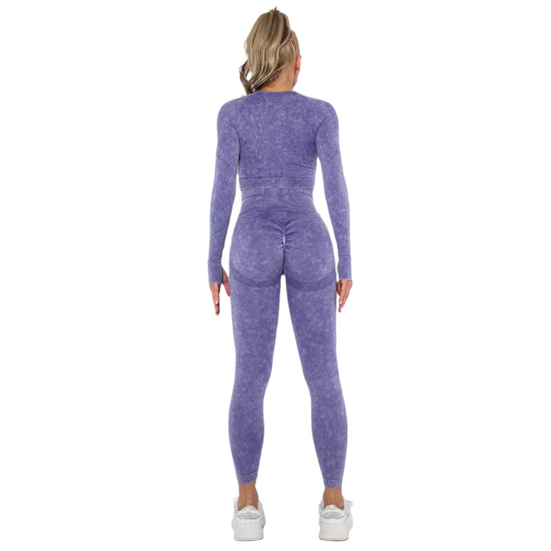 Purple Nylon Seamless Long Sleeve Pant Yoga Set TQE91361-8