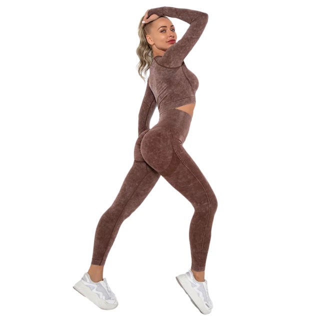 Coffee Nylon Seamless Long Sleeve Pant Yoga Set TQE91361-15