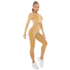 Yellow Nylon Seamless Long Sleeve Pant Yoga Set TQE91361-7