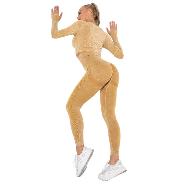 Yellow Nylon Seamless Long Sleeve Pant Yoga Set TQE91361-7