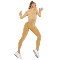 Yellow Nylon Seamless Long Sleeve Pant Yoga Set TQE91361-7