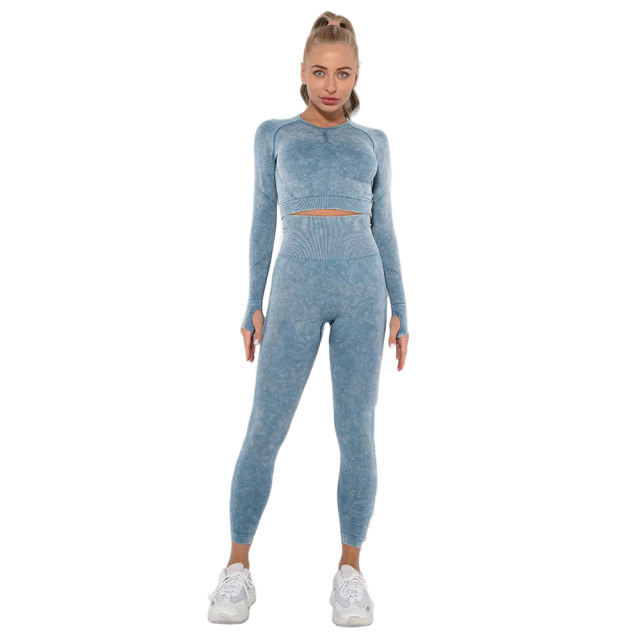 Blue Nylon Seamless Long Sleeve Pant Yoga Set TQE91361-5