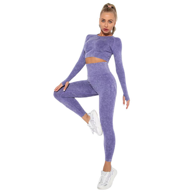 Purple Nylon Seamless Long Sleeve Pant Yoga Set TQE91361-8