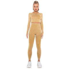 Yellow Nylon Seamless Long Sleeve Pant Yoga Set TQE91361-7