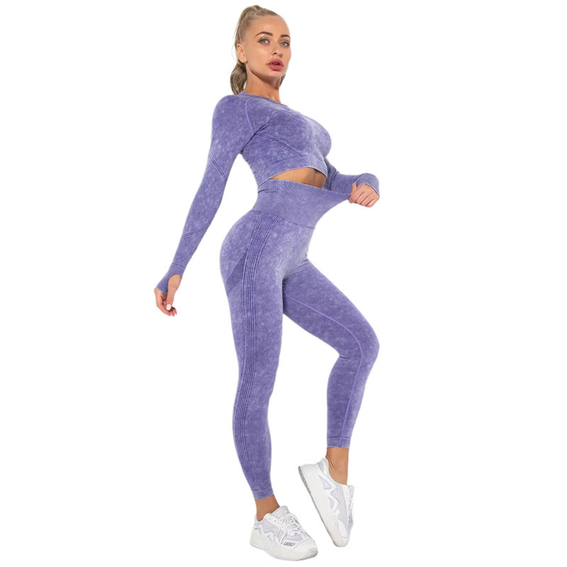 Purple Nylon Seamless Long Sleeve Pant Yoga Set TQE91361-8