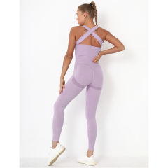 Light Purple Back-Criss Seamless Yoga One Piece Jumpsuit TQE91567-38