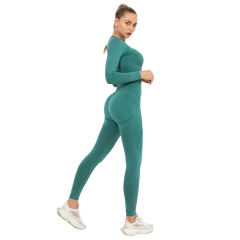 Dark Green Seamless Long Sleeve Yoga Sports Set TQE00135-36