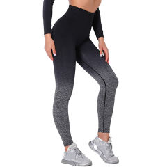 Black Gradient Long Sleeve Sports Set TQE00131-2
