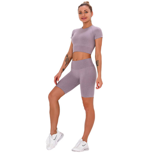 Dark Purple Seamless Short Sleeve Yoga Sports Set TQE00138-35