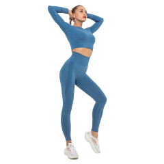Ink Blue Seamless Long Sleeve Yoga Sports Set TQE00135-81