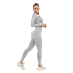 Light Grey Seamless Long Sleeve Yoga Sports Set TQE00135-112