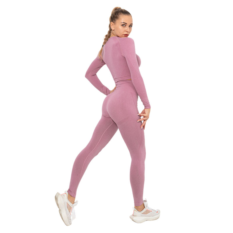Cameo Seamless Long Sleeve Yoga Sports Set TQE00135-47