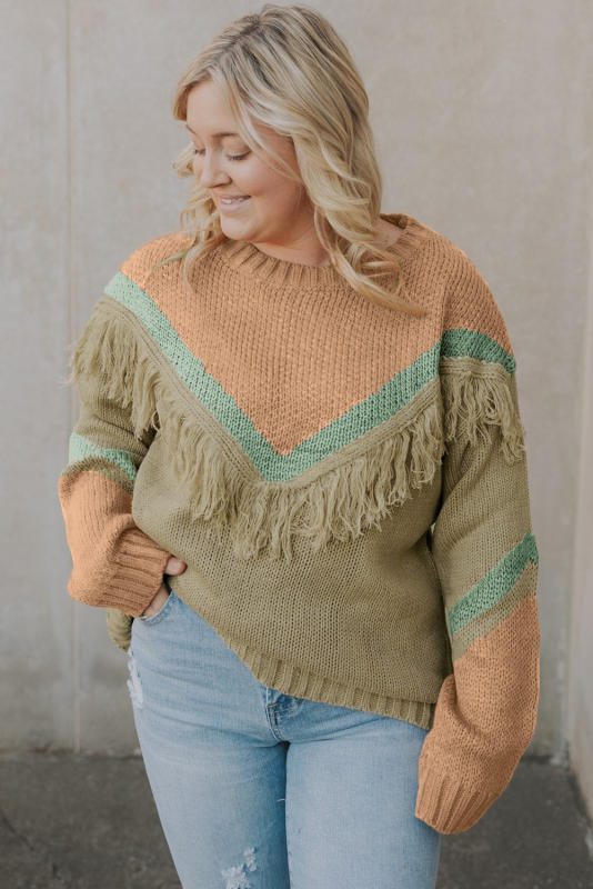Multicolor Color Mixed Fringe Pullover Plus Size Sweater PL272062-22