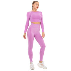 Rosy Seamless Long Sleeve Yoga Sports Set TQE00135-6