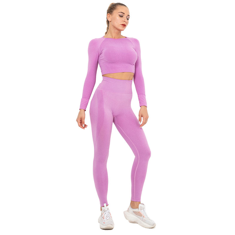 Rosy Seamless Long Sleeve Yoga Sports Set TQE00135-6