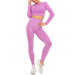 Rosy Seamless Long Sleeve Yoga Sports Set TQE00135-6