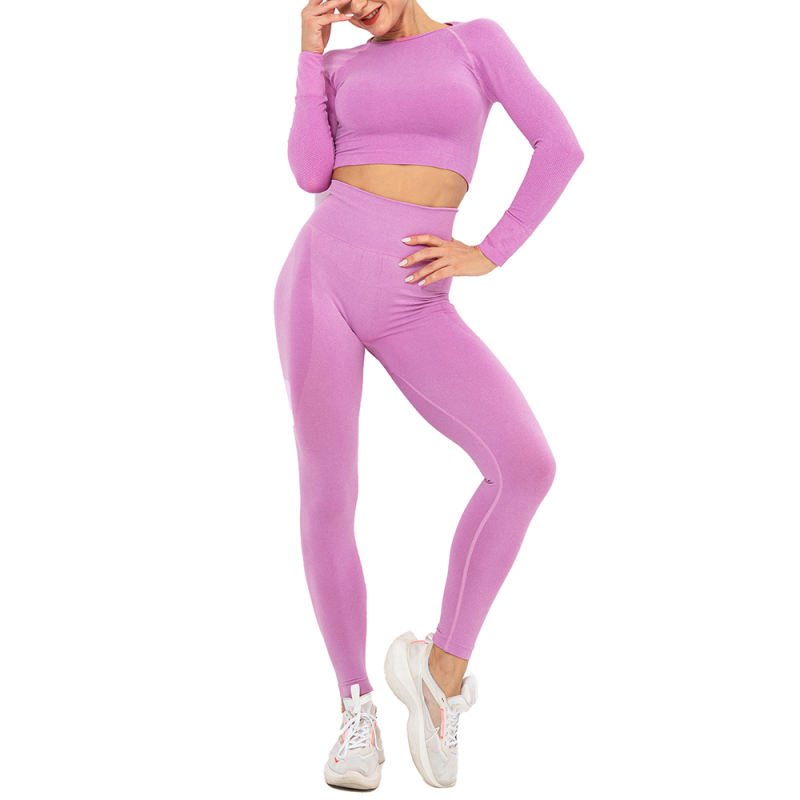 Rosy Seamless Long Sleeve Yoga Sports Set TQE00135-6