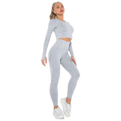 Light Gray Nylon Seamless Long Sleeve Pant Yoga Set TQE91361-112