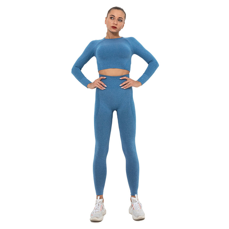 Ink Blue Seamless Long Sleeve Yoga Sports Set TQE00135-81