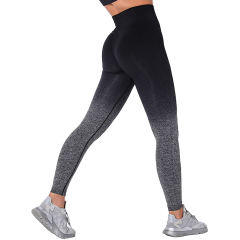 Black Gradient Long Sleeve Sports Set TQE00131-2