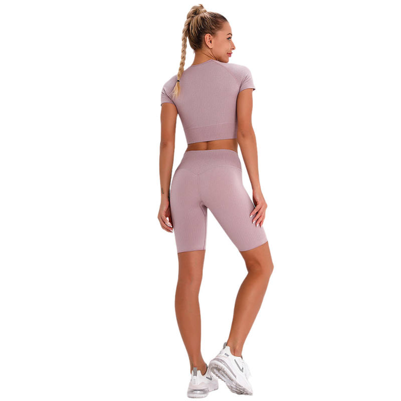 Light Purple Seamless Short Sleeve Yoga Sports Set TQE00138-38