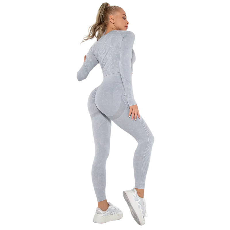 Light Gray Nylon Seamless Long Sleeve Pant Yoga Set TQE91361-112
